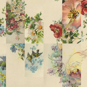 Digitale - Pagine digitali deluxe Blossom e kit di effimeri, dal libro eclettico di fiori e citazioni