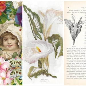 Digital Delux - Spring Flowers ephemera kit numérique...  Images antiques rehaussées à de belles images junk Journals journal
