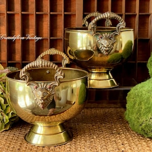 May include: Two vintage brass bowls with decorative handles and lion's head details. The bowls sit on pedestals and have a polished finish. The background includes a wooden shelf and green moss balls.
