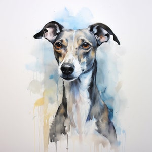 Whippet pittura ad acquerello illustrazione disegno ritratto animale Clip Art cane levriero italiano levriero inchiostro Wall Art