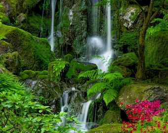 Heavenly Falls Serenity