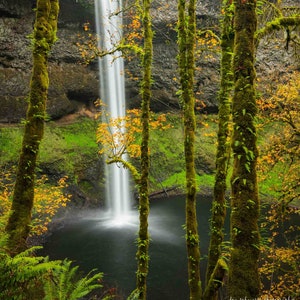 Leafy Autumn Cascade