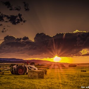Sunset in the Hayfield