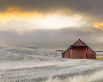 Old Barn in the Winter Wheat
