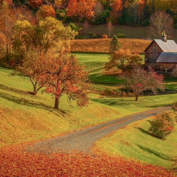 Winding Past the Barns