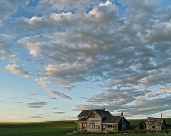 The Old Homestead