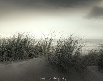 May include: Monochrome photograph of a beach scene. Tall, wispy grasses grow from a sandy dune in the foreground. The ocean stretches to the horizon under a cloudy sky. The image is in shades of gray.