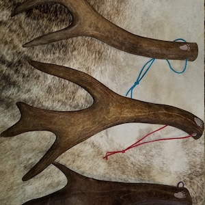 Back scratcher - antler back scratcher - handmade back scratcher - caribou antler - gifts for him - outdoorsman gift - bush craft - caribou