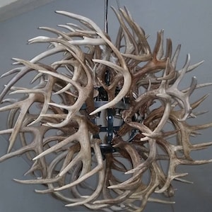 Antler chandelier - antler pendant - pendant light - rustic light - wester lighting - antler light - rustuc pendant - dinning light - light