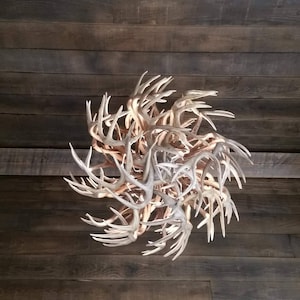 Chandelier - pendant light - antler chandelier - antler pendant light - dinning light - rustic lighting - rustic pendant light - lighting