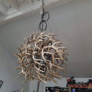 Chandelier - antler chandelier - pendant light - antler pendant - rustic light - unique light - unique pendant light - rustic pendant light