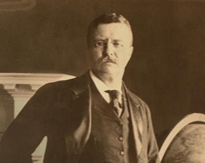 Children's Theodore Roosevelt Costume, Teddy Roosevelt Suit