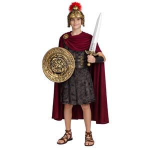 May include: A Roman soldier costume featuring a gold-toned helmet with a red crest, a dark gray tunic, a deep burgundy cape, and brown sandals. The outfit includes a round gold shield with a lion emblem and a silver-colored toy sword.