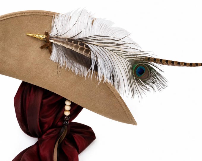 Pirate Hat Feather Accessory