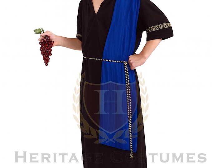 Children's Julius Caesar Costume,Roman Senator Costume, Roman Toga Costume