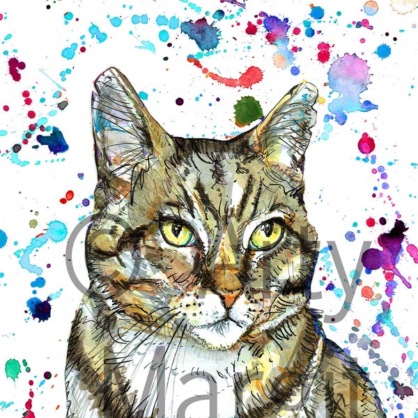 Cat pet portrait customised personalised highly original wall art gift in a quirky style Talking Pet Pussy Power Feline Tiger Miaow!