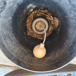 May include: A black plastic container with a light-colored float and a metal fitting. The float is attached to the fitting by a thin, flexible tube. The container is filled with wood chips.