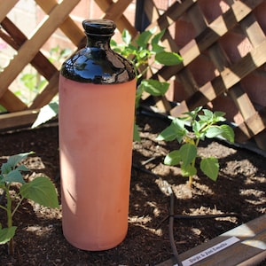 May include: A terracotta bottle with a black glazed top, used for watering plants in a garden. The bottle is sitting in a raised garden bed with two tomato plants.