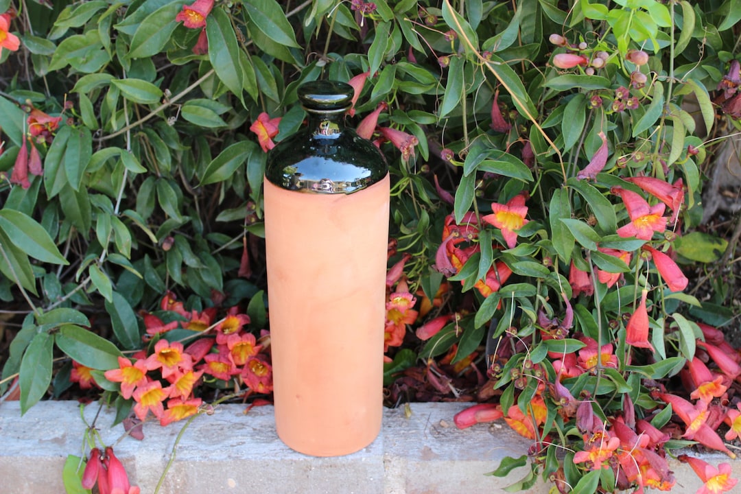 Olla Bottles 10 Tall 3 Round Glazed Top Etsy