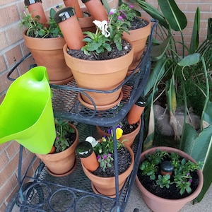 May include: A black metal plant stand with two tiers holds multiple terracotta pots with various plants. The pots have black plastic watering spikes inserted into the soil. A green watering funnel sits on the lower tier of the stand.