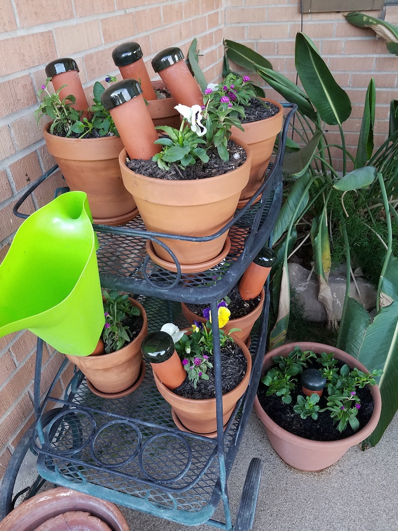 May include: A black metal plant stand with two tiers holds multiple terracotta pots with various plants. The pots have black plastic watering spikes inserted into the soil. A green watering funnel sits on the lower tier of the stand.