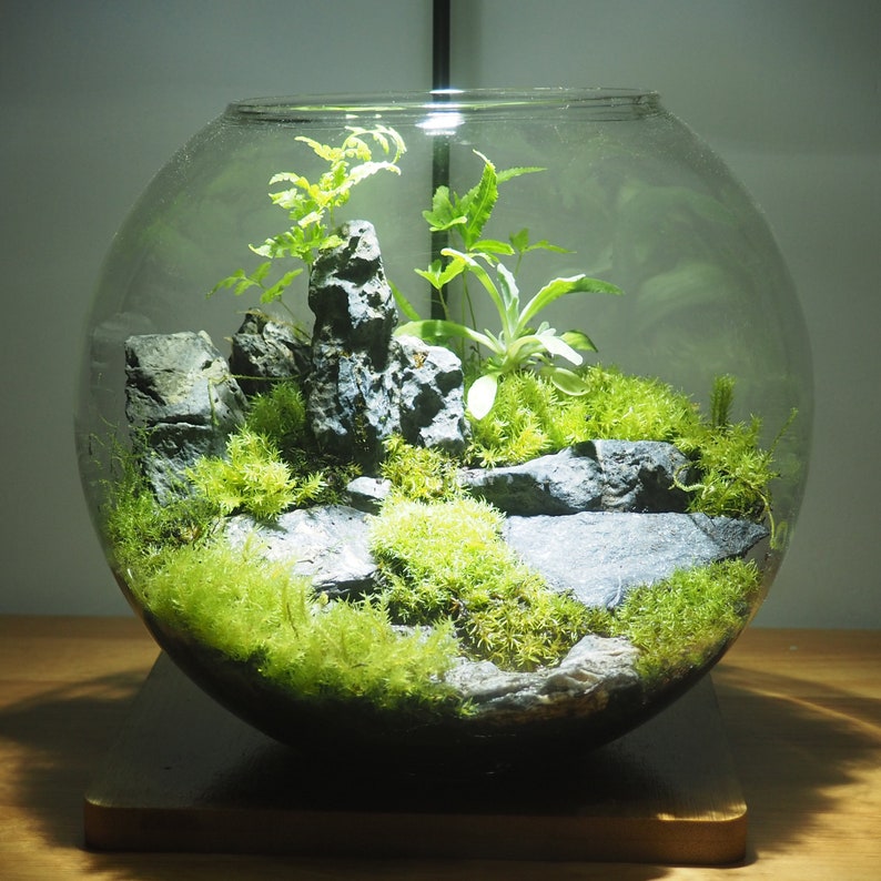 Glass Terrarium Container Bell Jars with Cover Etsy