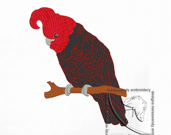 Gang-gang Cockatoo Machine Embroidery Design: Australian Parrot (Digital Download)