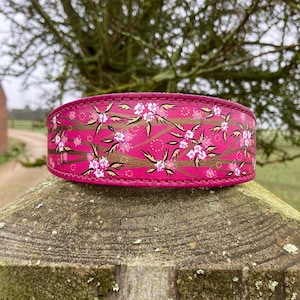 Extra large hand painted floral sighthound collar