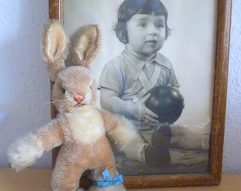 Vintage Steiff Bunny Sassy Mohair 26 cm / 10.2 1950