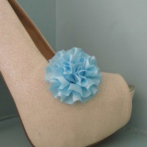 Beautiful Deeree Pale Blue Rosette Style Shoe Clips image 1