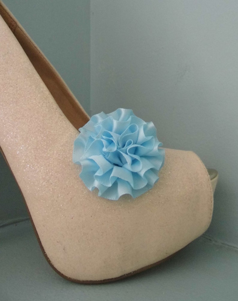 Beautiful Deeree Pale Blue Rosette Style Shoe Clips image 1