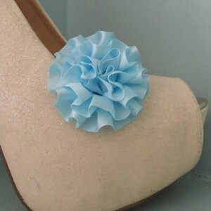 Beautiful Deeree Pale Blue Rosette Style Shoe Clips image 2
