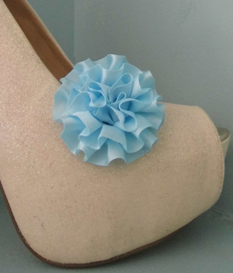 Beautiful Deeree Pale Blue Rosette Style Shoe Clips image 2