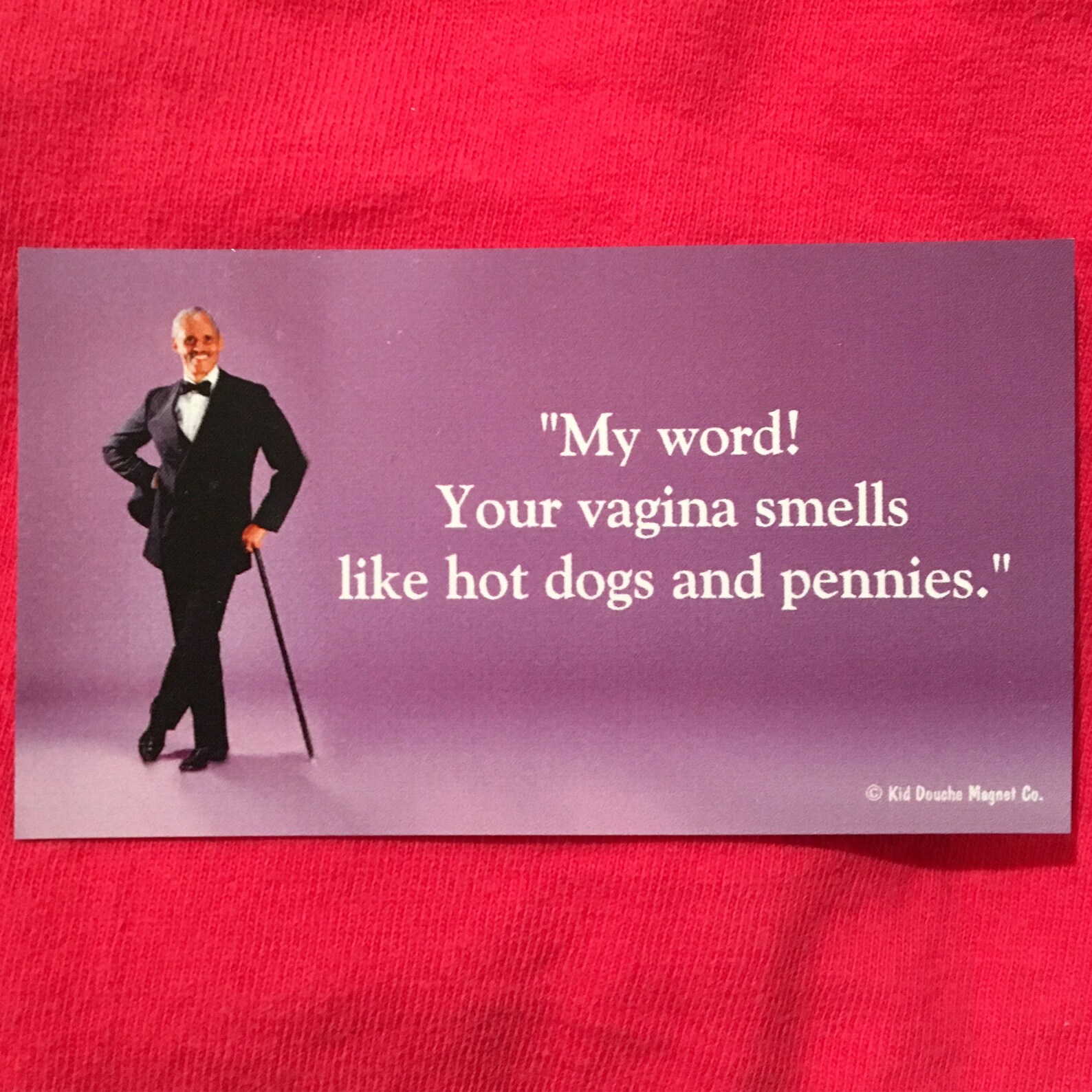 My Word Your Vagina Smells Like Hot Dogs and Pennies Fridge 3.5l X 2w Etsy