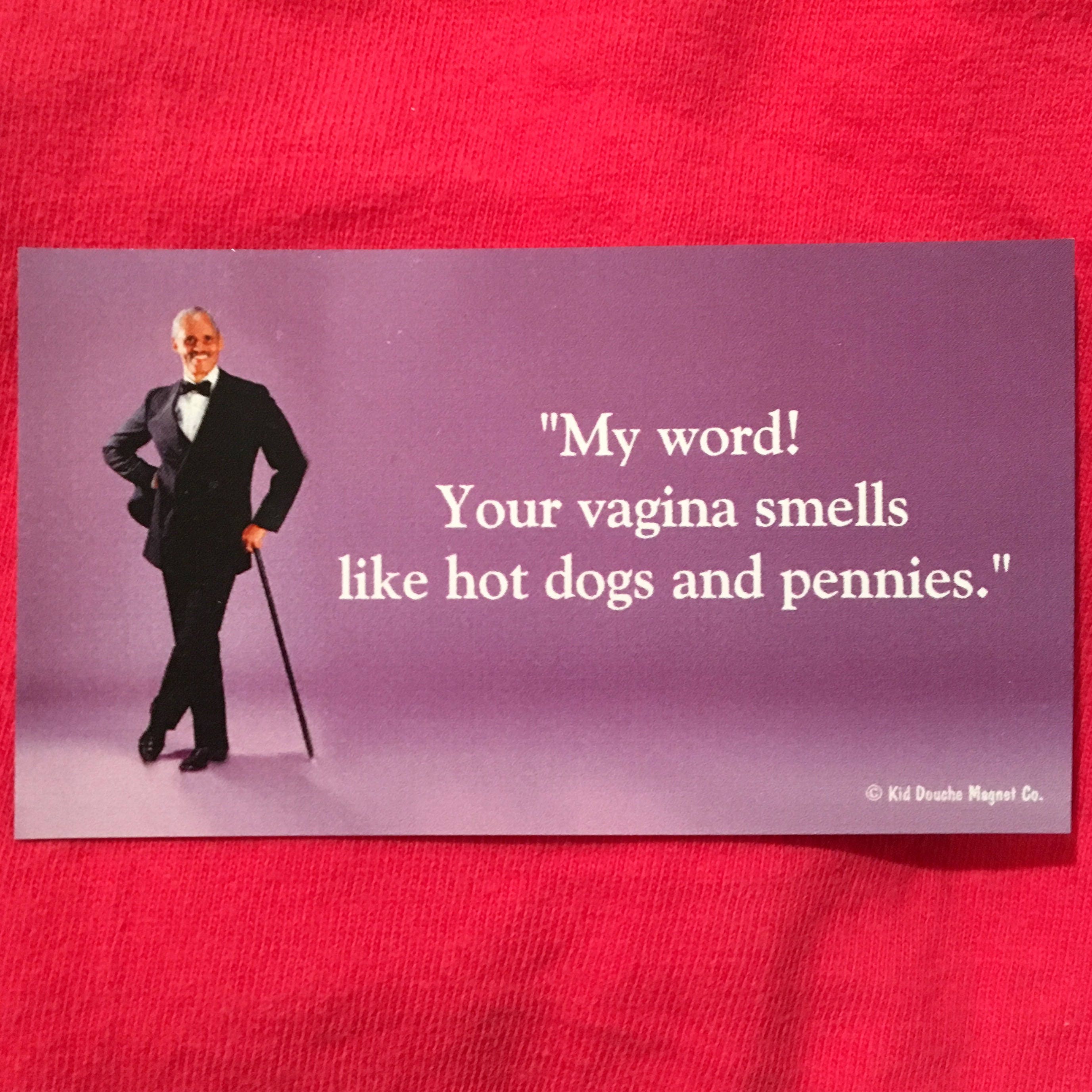 My Word Your Vagina Smells Like Hot Dogs and Pennies Fridge 3.5l