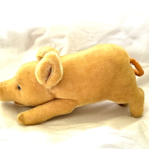 Vintage Steiff Pig - Etsy