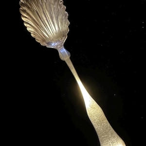 May include: A silver spoon with a shell-shaped bowl and a long, slender handle. The spoon has a decorative design on the handle and bowl. The spoon is likely made of sterling silver or a similar metal.