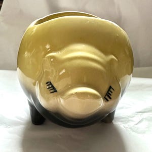 May include: A yellow and black ceramic piggy bank planter with a glazed finish. The piggy bank has a small opening on the top for planting.