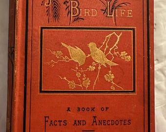 Storie di vita degli uccelli di Henry Berthoud, 1875, illustrate.