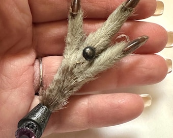 Spilla antica vittoriana scozzese a forma di piede di gallo cedrone in argento sterling con ametista