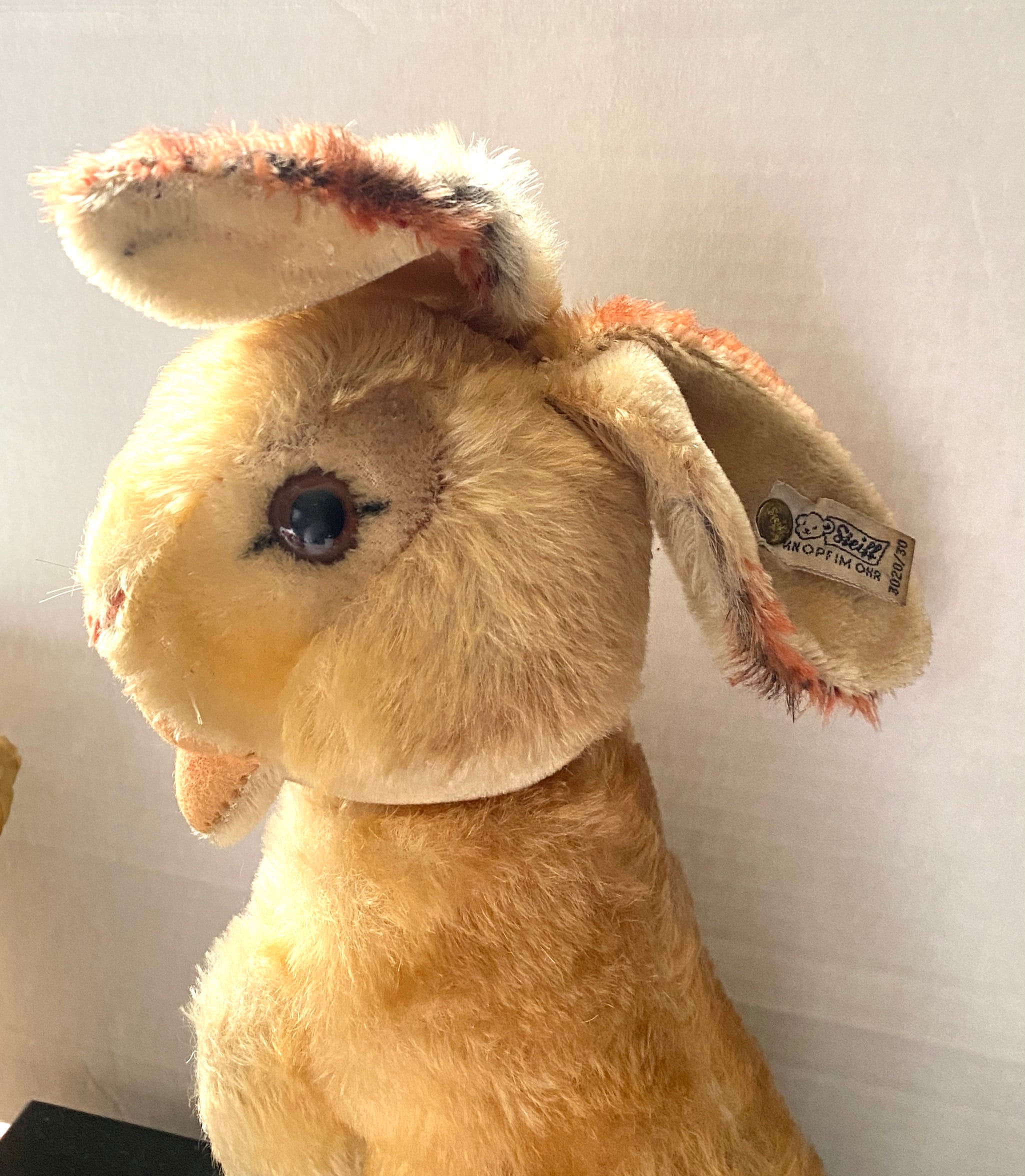 1950s Vintage Steiff Bunny Rabbit Easter - Etsy 1950s Vintage Steiff Bunny Rabbit Easter - Etsy