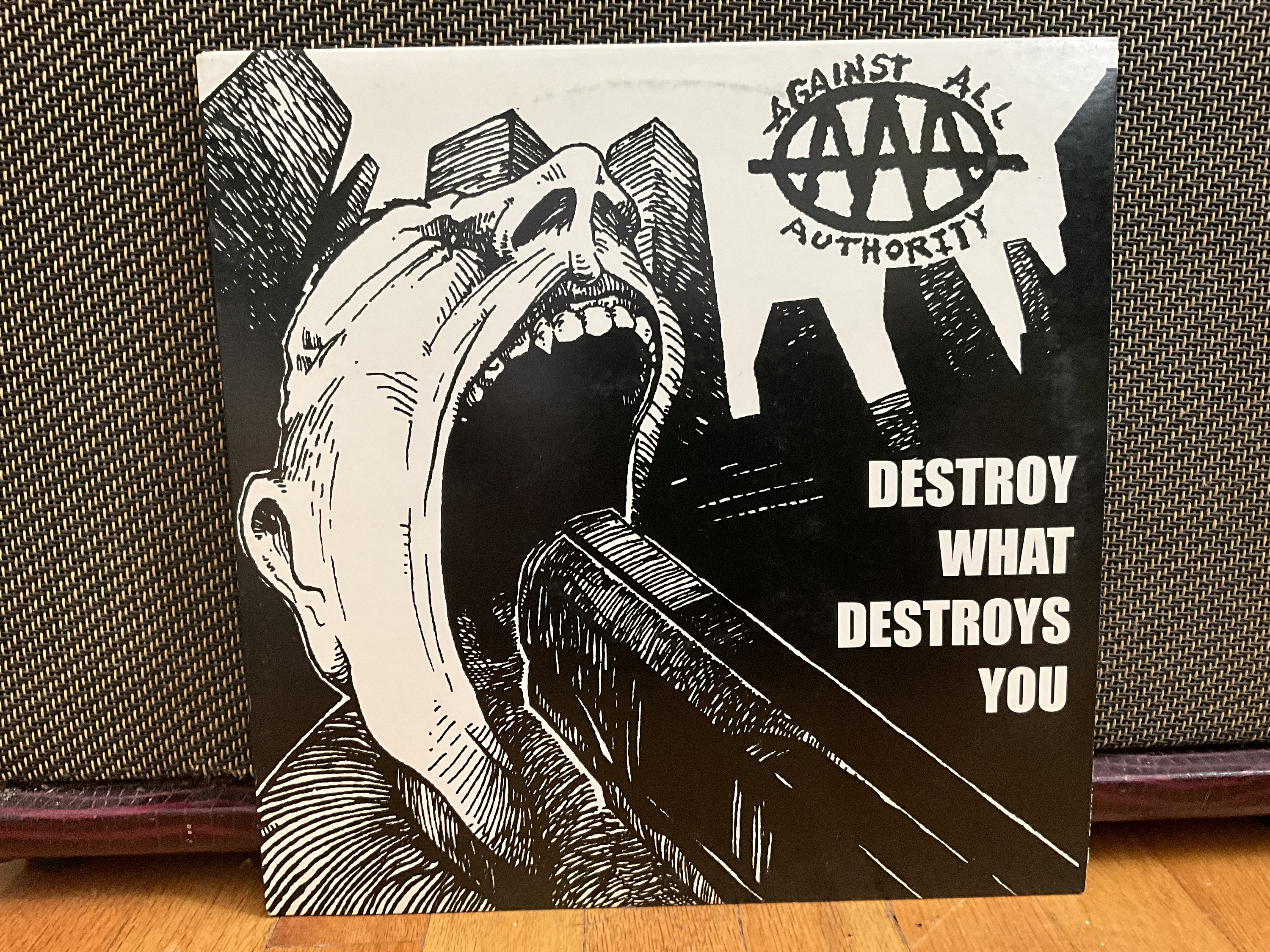Against All Authority “destroy What Destroys You” LP 1998 Punk - Etsy