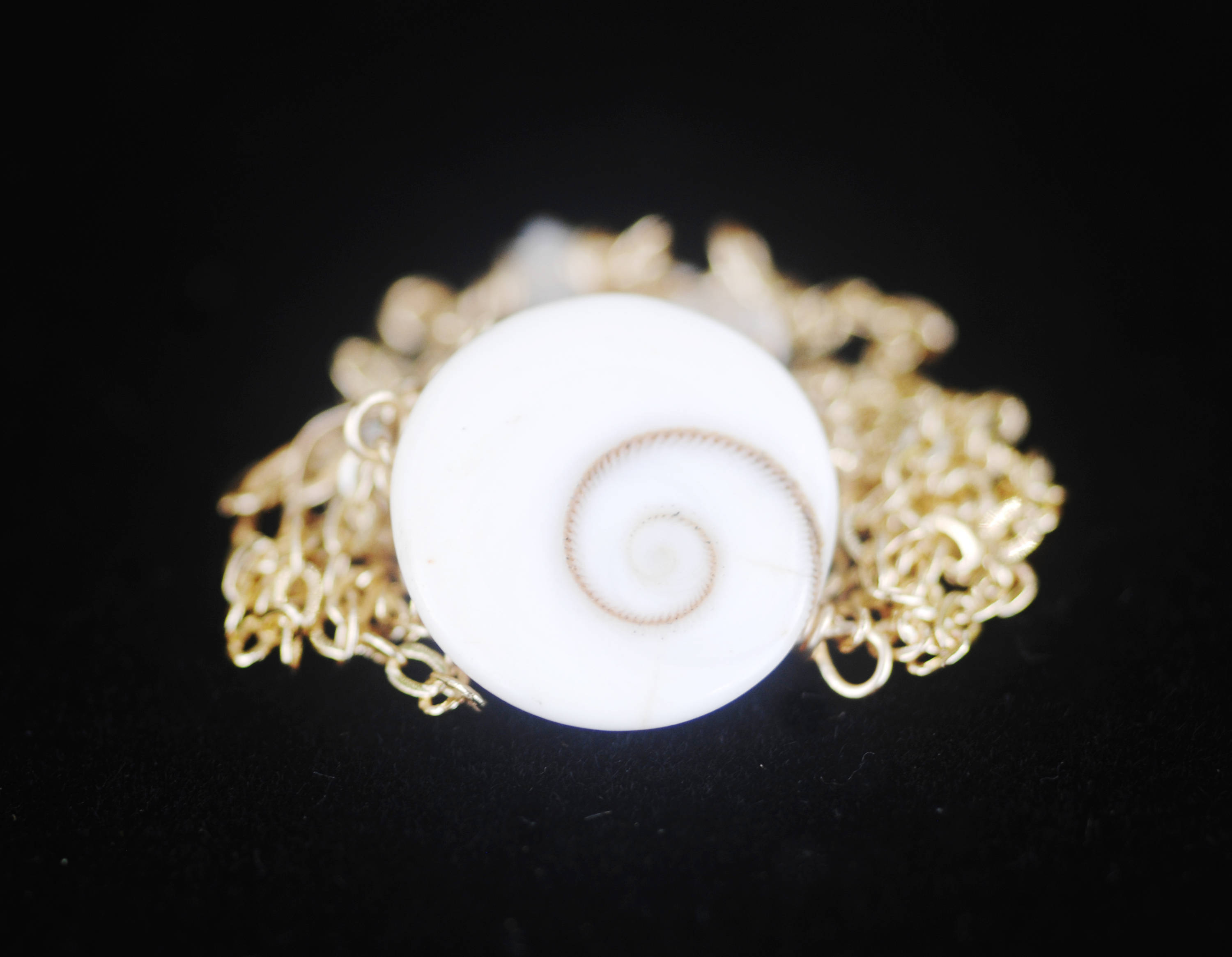 Shiva Shell Rainbow Moonstone necklace Eye of Shiva shell For Protection Wire wrapped jewelry Handmade in Hawaii with love