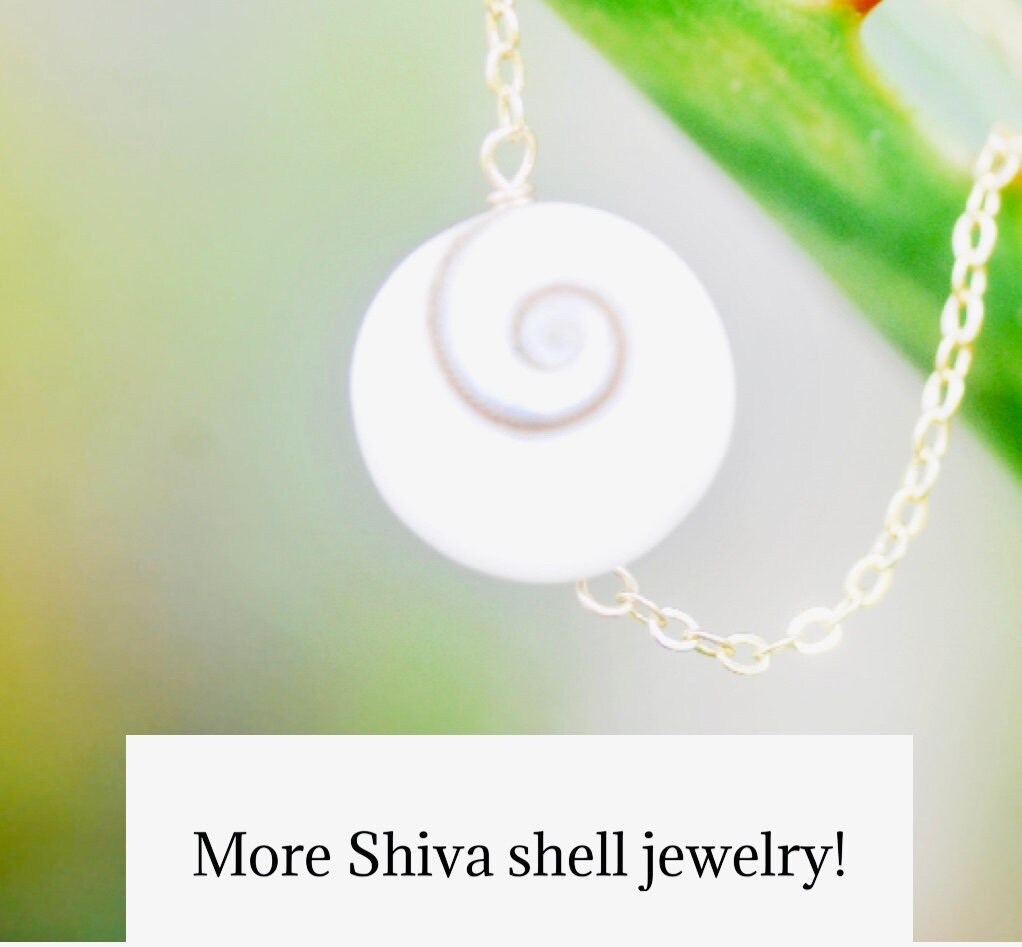 Shiva shell deals jewelry