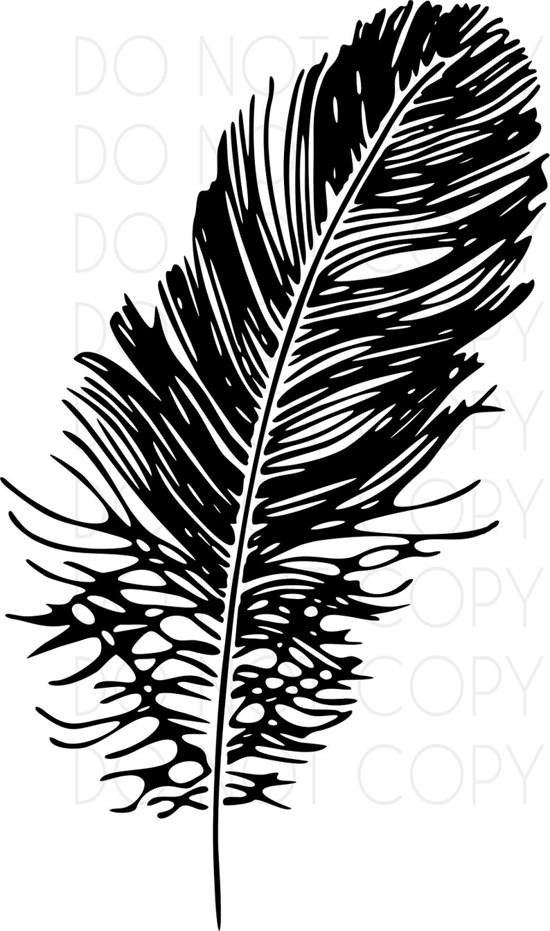 Download Feather SVG Cuttable Design for Cricut Silhouette printers ...