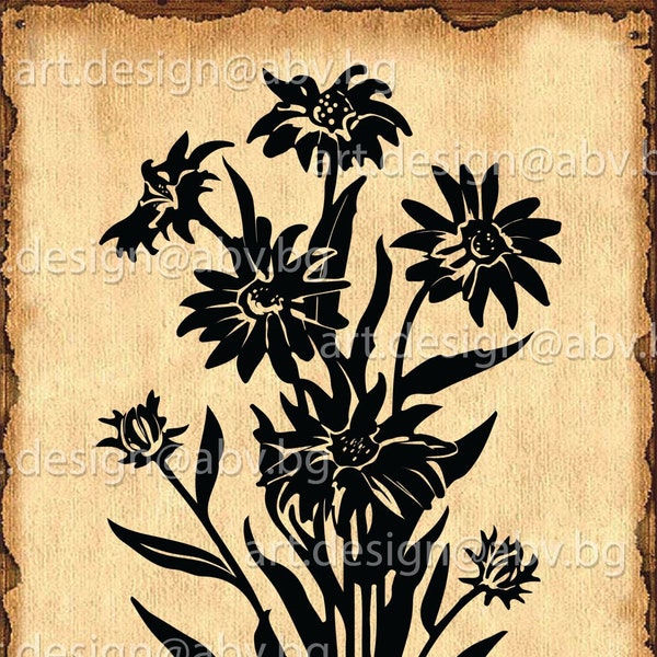Vector Flowers /Heliopsis/, AI, eps, pdf, PNG, svg, dxf, jpg Download, Digital image, graphical, discount coupons