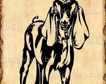 Nubian Goat Vector Art Print (Digital Download)