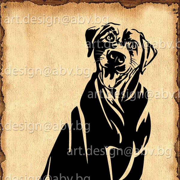 Vector DOG, Labrador, AI, eps, pdf, svg, dxf, png, jpg Download, Digital image, graphical, animal, discount coupons