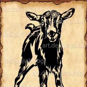 Vector ALPINE GOAT baby, AI, png, eps, pdf, svg, dxf, jpg Instant Download, graphical image Art Print, animal baby, Digital image