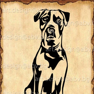 Vector DOG, front pig dog body, AI, png, pdf, eps, svg, dxf, jpg Download, Digital image, Australian dog, Bull Arab